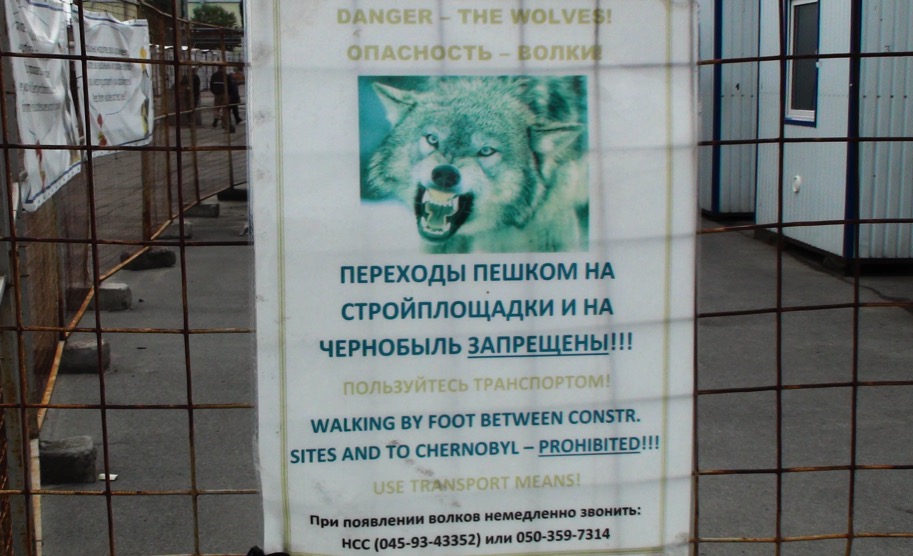 Abbildung 22 Die Umgebung des Kraftwerkes hat sich (fast) ohne Menschen in ein üppiges Naturparadies verwandelt. Allerdings sollte man sich vor Wölfen in Acht nehmen, aber auch Wildschweine, Bären und Bisons sind nicht ganz harmlos.